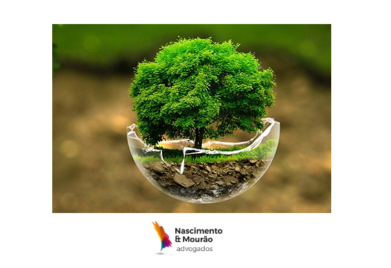 Informativo | INEA reconhece a inexigibilidade de licença ambiental para Pontos de Entrega Voluntária (PEVs) instalados no Rio de Janeiro