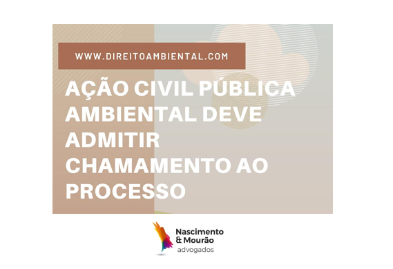 Ação Civil Pública ambiental deve admitir chamamento ao processo