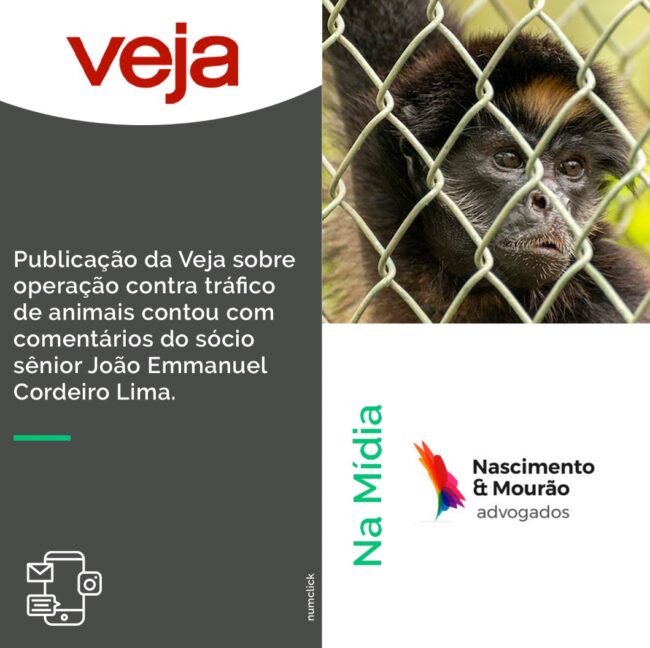 WhatsApp Image 2022-12-06 at 13.55.15