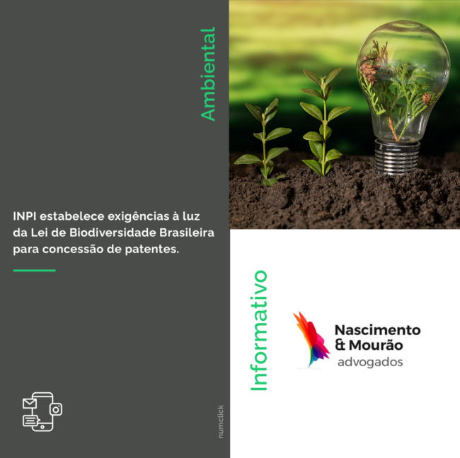 informativo ambiental INPI 2904