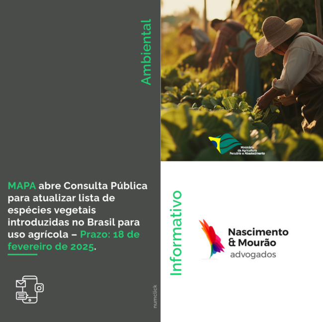 informativo MAPA feed